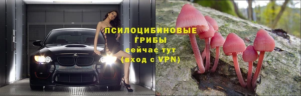 мяу мяу кристалл Гусев