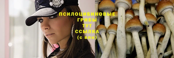 мяу мяу кристалл Гусев
