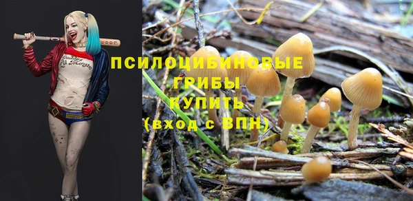 кристаллы Гусиноозёрск
