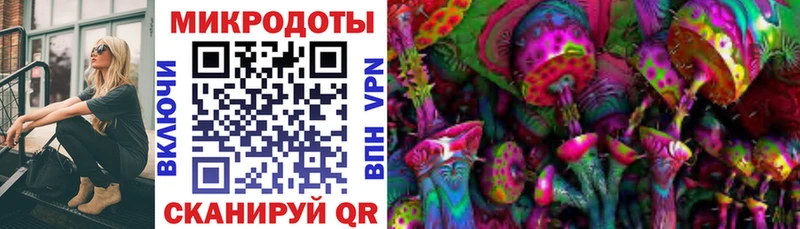 Галлюциногенные грибы Psilocybine cubensis  купить закладку  Высоковск 