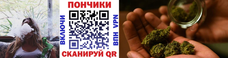МЕГА сайт  как найти наркотики  Высоковск  Марихуана ГИДРОПОН 